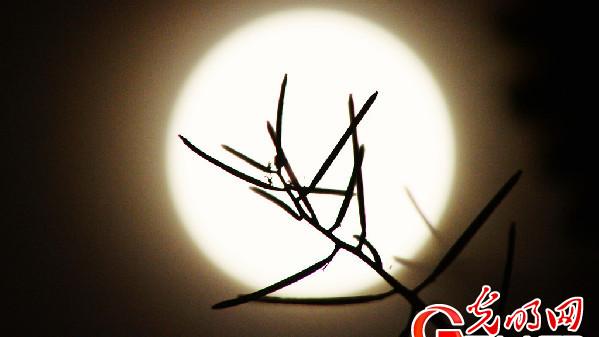 中国古诗词中的“月”