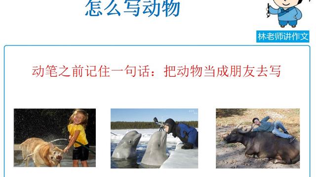 我的老师(有关动物的作文)