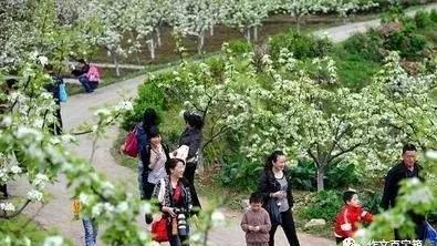 三年级上册观察作文