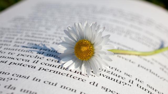 语文六年级上册第一单元作文1000字