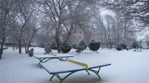 冬天的校园作文500字左右