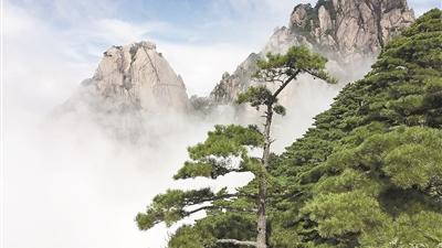 黄山莲花峰 诗句
