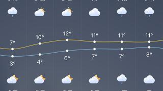 上海的雨  作文