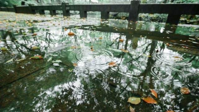 以窗外的雨写诗