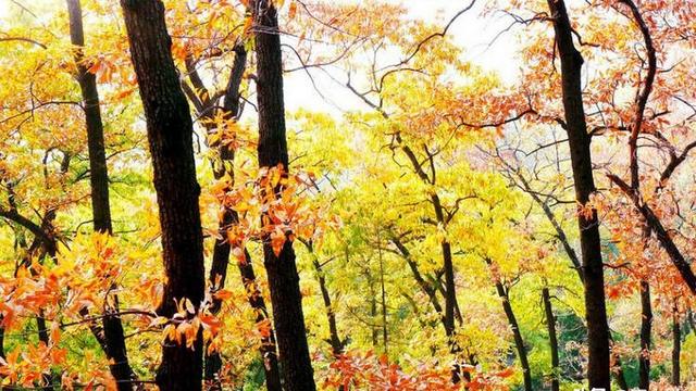 ___，太好了作文900字