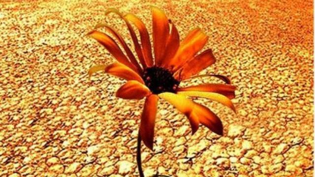《如何做人如何做事》2000字作文