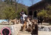 Roam about animal Palladium -- Kunming 100 million hearts