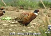 爬梁野山的趣事作文200字