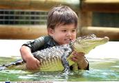The warm heart coexist of the mankind and animal, treat the special pet of these people, crocodilian