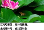 Ҫдʫʡ