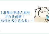 关于《做自己与做他人》的作文
