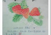 以《我是草莓》写一篇作文