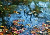 描写秋天的雨的诗句