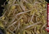 豆子的发芽作文描写