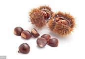 Often take Chinese chestnut advantage much: Kidney of be good at taste, filling liver, protect blood
