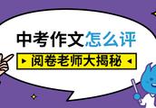 毕业班返校看老师的作文