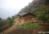 Rural husband and wife lives in seclusion remote mountains is planted Chinese chestnut raises agaric