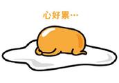 介绍自拍神器之类的作文