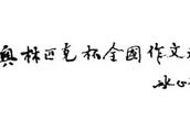 全国奥林匹克作文大赛排名
