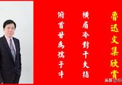 鲁迅的华盖集读后感