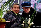 Zhejiang exhibits orchid of price of a day, mark a