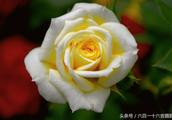 ʫҰһʲô?