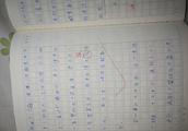 关于作业的600字作文
