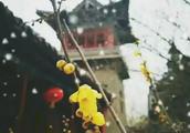 塱ʫЩ