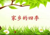 家乡的四季，作文，不少于600字。