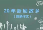 20年后回故乡作文 800字
