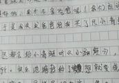 关于青蛙资料的作文200多字