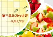 关于菠萝果的说明文300字