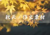 作文映象秋天500字