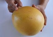 柚子的功效与作用是什么？