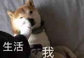 西安房價最高是哪個區？