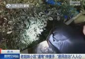 大石彩香的主要作品