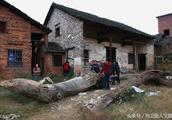 Hunan farmer get sth others ignored digs two " co