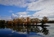 German Rhine is admired autumn, average person doe