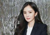 Yang Mi encounters misfortune again, guan Bo has confirmed its authenticity!