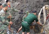 Vietnam discovery jumps over war period to did not