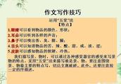 感动和感触有何区别？