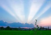 Relaxed and happy! Treasure should general view of scene of garden of    paddy field