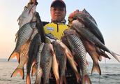 Thailand autumn Lan Hu is the heaven of fishing person really, the fish is much can use only flush w