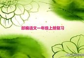 怎样才是正确的浇花~