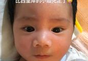 Zhangzhen Yue Shou basks in son face to illuminate big eye double-fold eyelid very lovely