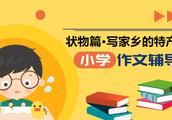 家乡的特点