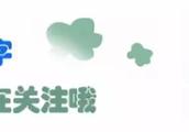 社旗縣饒良鎮團伙摩托盜竊案