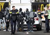 Holand is sent 3 dead suspect of 9 injuries pop is caught, doubt because domestic dispute