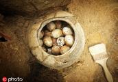 Jiangsu gouge one canister the egg 2500, defeated 