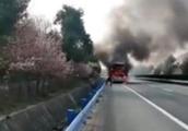 Driver of the car after bus high speed breaks out 